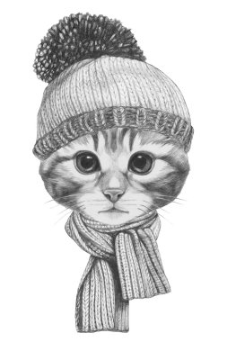 Kedi portre atkı ve şapka ile.