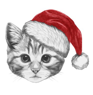 Noel Baba şapkası ile kedi portresi