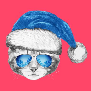 Santa şapka ve güneş gözlüğü ile kedi