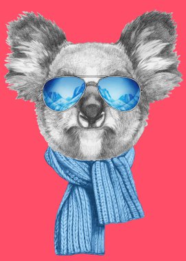 Koala dikey, eşarp ve güneş gözlüğü