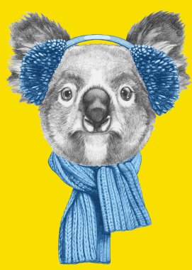 Koala dikey, eşarp ve etkilidirler