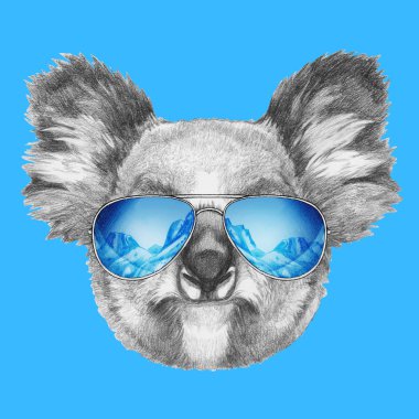 Koala portresi ayna güneş gözlüğü ile
