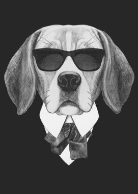 Beagle köpek elbiseli portresi