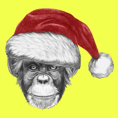 Noel Baba şapkası ile maymun.