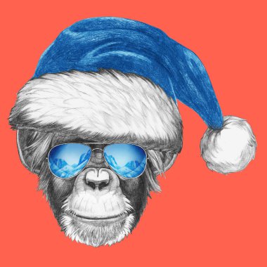 Santa şapka ve güneş gözlüğü ile maymun