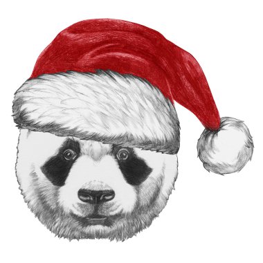 Noel Baba şapkası ile Panda