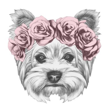 Çiçek çelenk ile Yorkshire Terrier köpek
