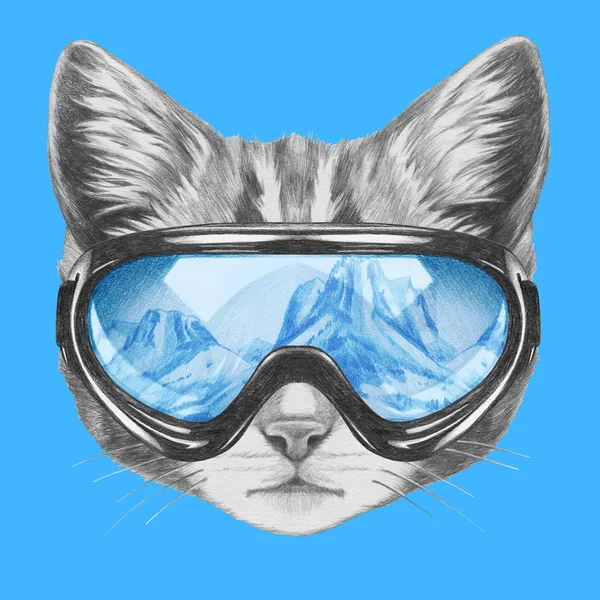 Portrait de Chat avec lunettes de ski — Photo