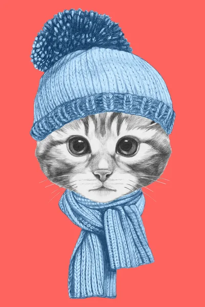 Portrait of Cat with scarf and hat. — Stock Photo, Image