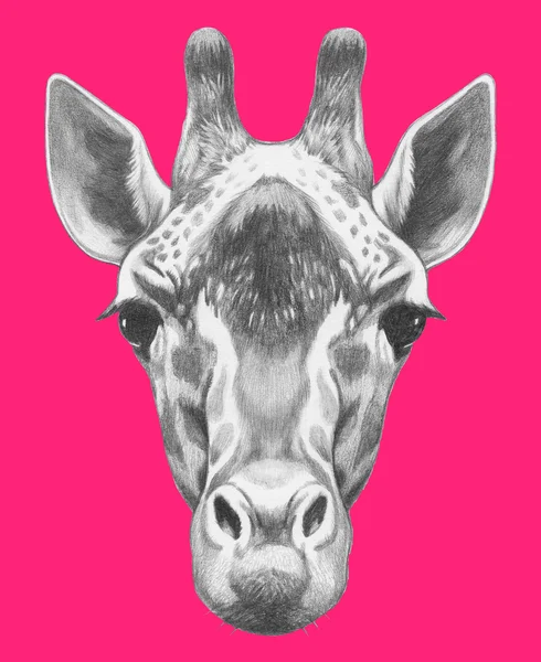 Portrait de girafe dessiné à la main . — Photo