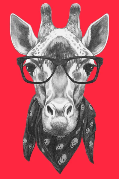 Porträt einer Giraffe mit Brille und Schal. — Stockfoto