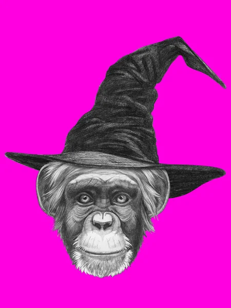 Retrato de macaco com chapéu de bruxa . — Fotografia de Stock