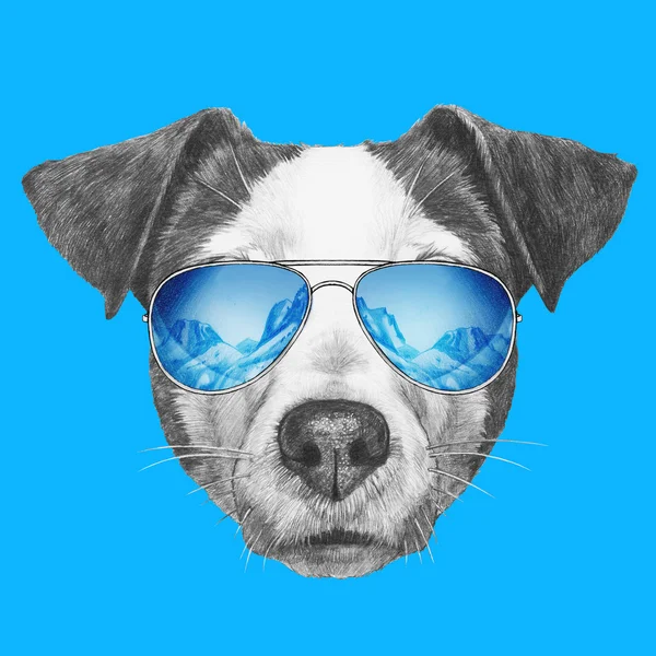 Jack Russell Hund mit Spiegelsonnenbrille — Stockfoto