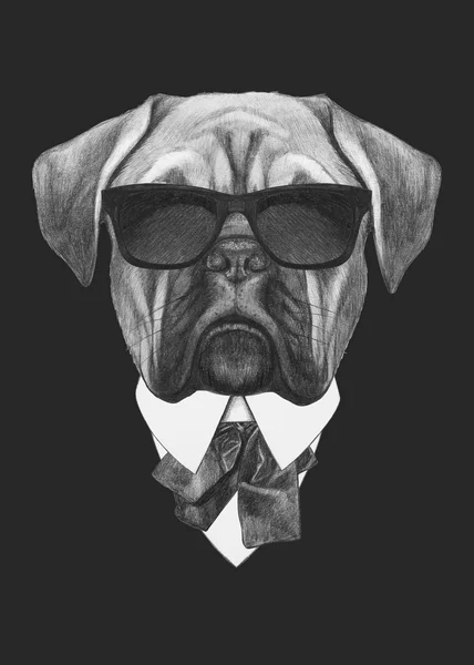 Retrato de Bulldog francés en traje —  Fotos de Stock