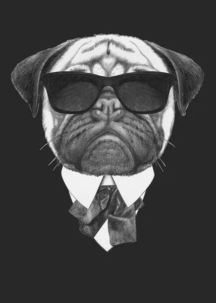Pug köpek portre elbiseli