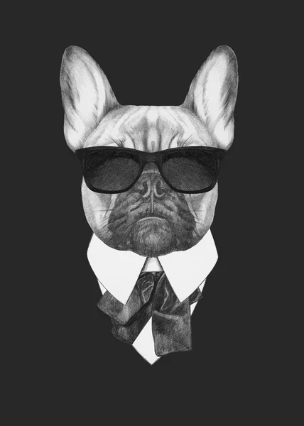 Retrato de Bulldog francés en traje —  Fotos de Stock