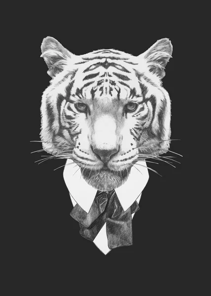 Retrato de Tigre en traje — Foto de Stock