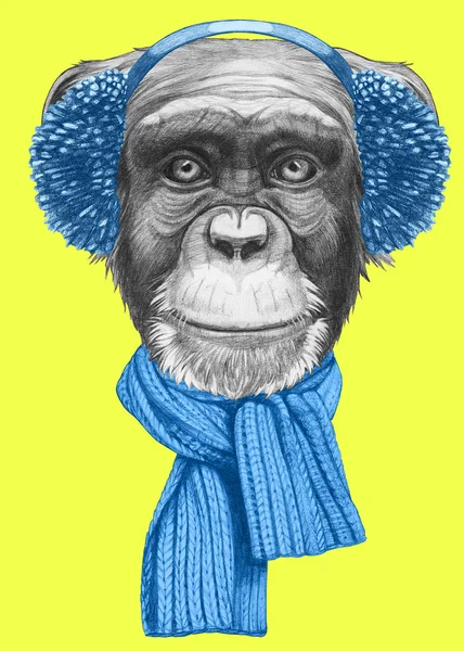 Macaco com cachecol e auriculares — Fotografia de Stock