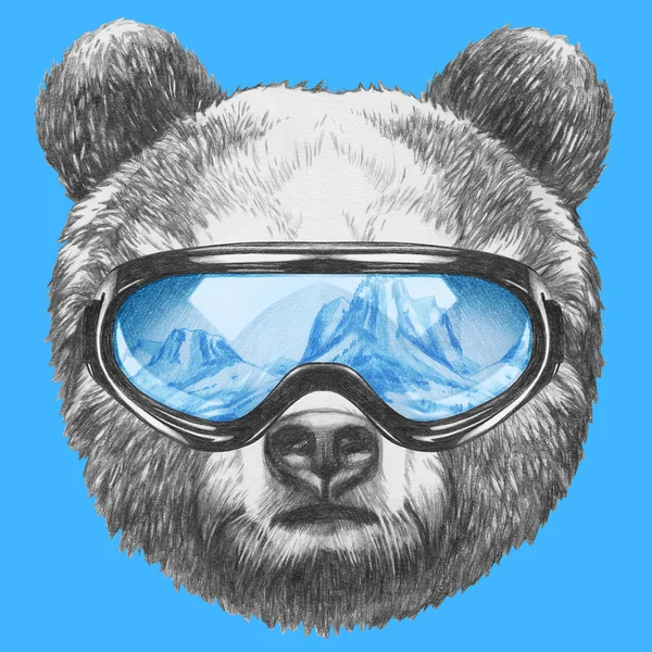Urso com óculos de esqui — Fotografia de Stock