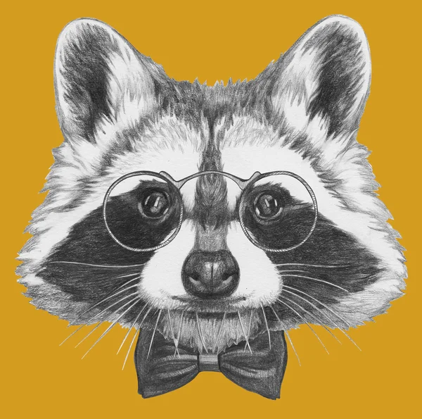 Raccoon with glasses and bow tie — Stock Photo, Image