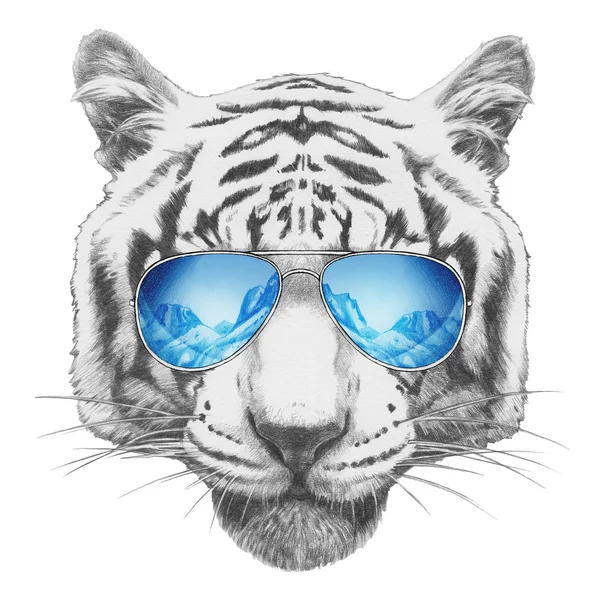 Tiger mit Spiegelsonnenbrille — Stockfoto