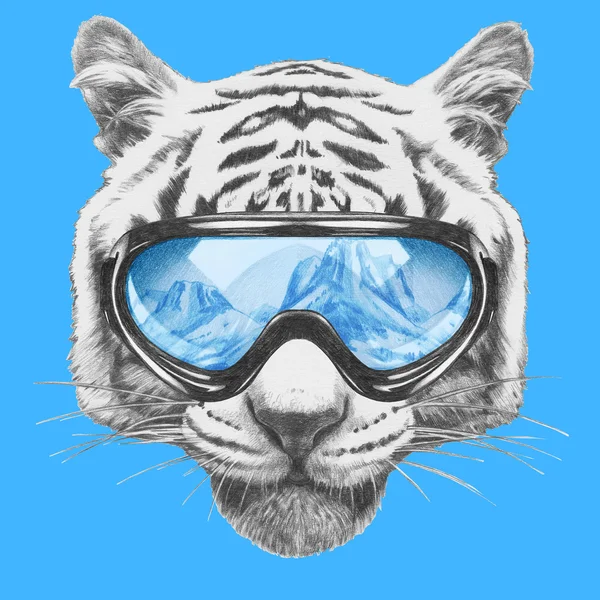 Tigre con occhiali da sci . — Foto Stock