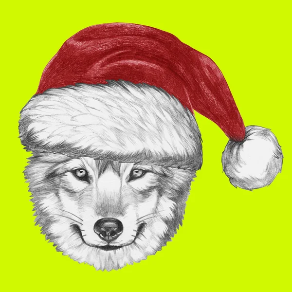 サンタの帽子を持つオオカミ — ストック写真