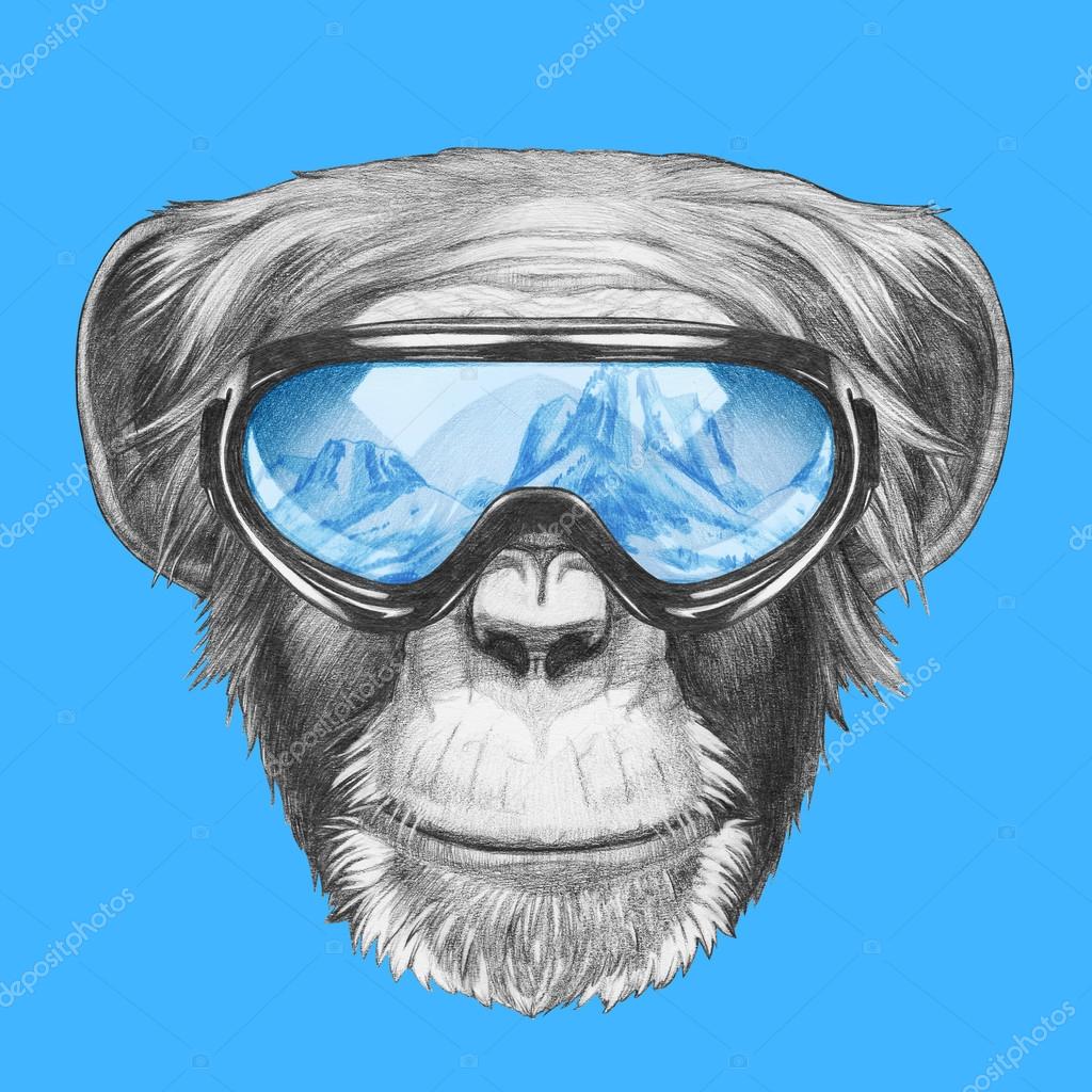 Hukommelse Jeg vasker mit tøj slidbane Monkey with ski goggles Stock Photo by ©Victoria_Novak 85114566 Hukommelse Jeg vasker mit tøj slidbane Monkey with ski goggles Stock Photo by ©Victoria_Novak 85114566