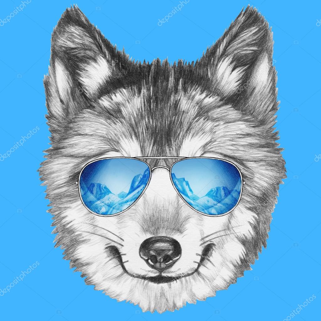Wolf Sunglasses: Over 424 Royalty-Free Licensable Stock Illustrations &  Drawings | Shutterstock