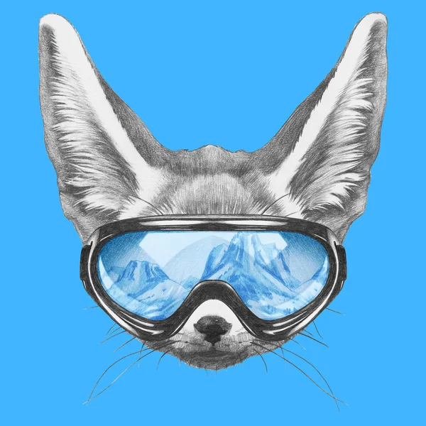 Fennec Fox with ski goggles — Stock Photo, Image