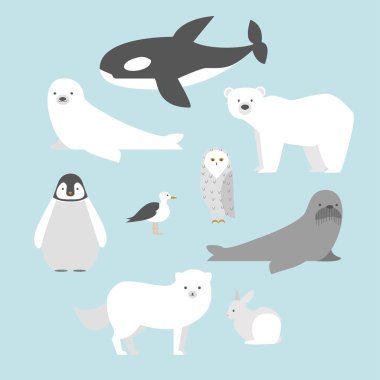 Kutup hayvanları.