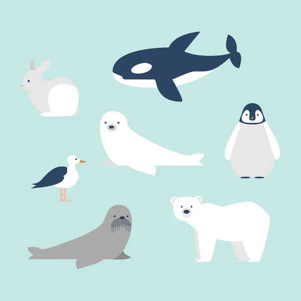 Σύνολο αρκτικών ζώων — Διανυσματικό Αρχείο