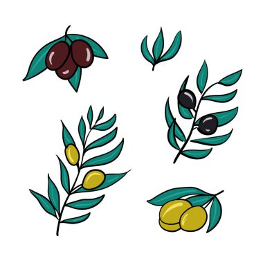 Beyaz arka planda bir dizi zeytin dalı. İzole edilmiş.