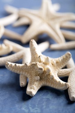 Starfishes mavi yüzeyi