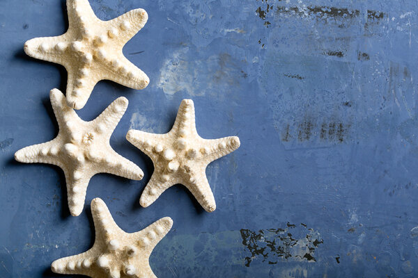 Морские звезды на голубой поверхности
