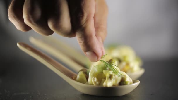 Chef decora ensalada con eneldo — Vídeo de stock