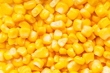 Boiled corn seeds clipart