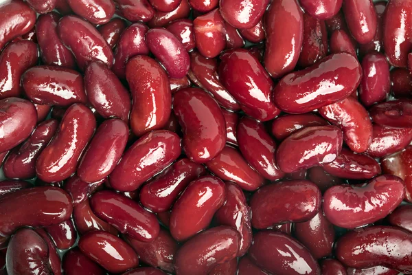 Boiled kidney beans — Stock Photo, Image