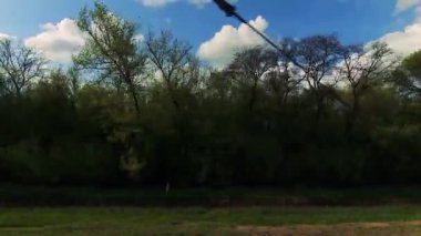 Ağaçlar ve ortamından görünüm