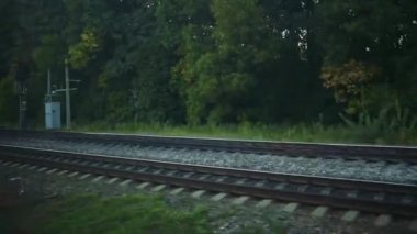 Ağaçlar ve ortamından görünüm