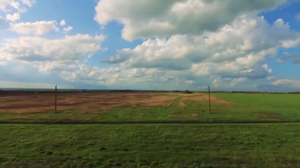 Weergave van de bomen en het milieu tegen — Stockvideo