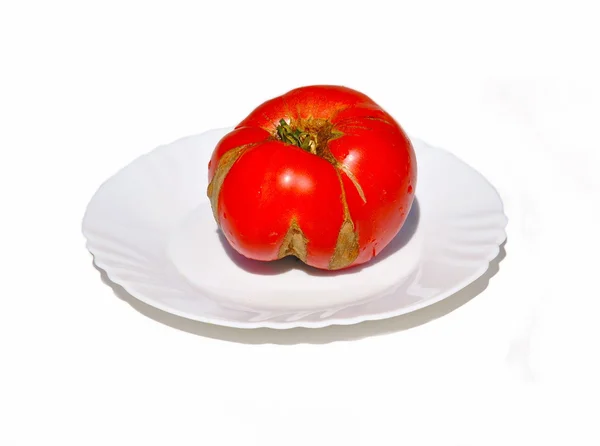 Red defect tomato on white plate — Stock Photo, Image