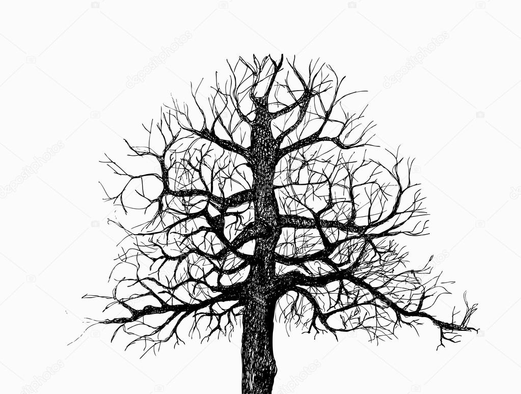 Vector ink sketch of tree