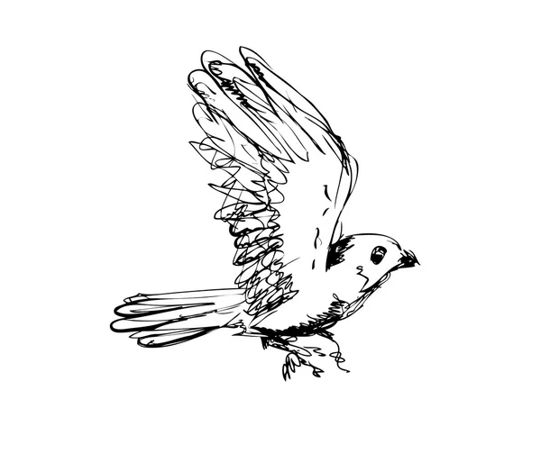 Croquis à l'encre vectorielle de l'oiseau — Image vectorielle