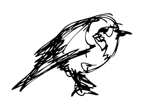 Boceto de tinta vectorial de pájaro — Vector de stock