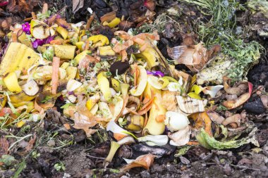 organik kompost ev çöp planı Close-up