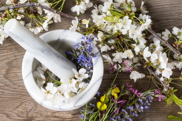 Medicina alternativa: preparação de essências de flores e ervas de primavera — Fotografia de Stock