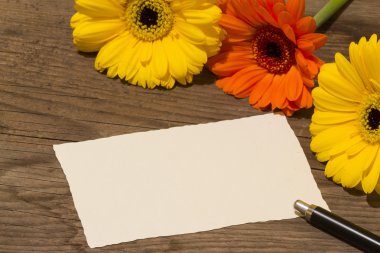 gerbera ahşap zemin üzerine tebrik kartı