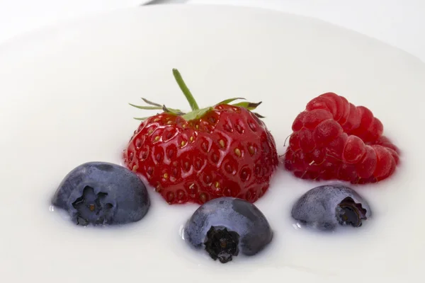 Primer plano del yogur blanco con arándanos, fresas y frambuesas — Foto de Stock