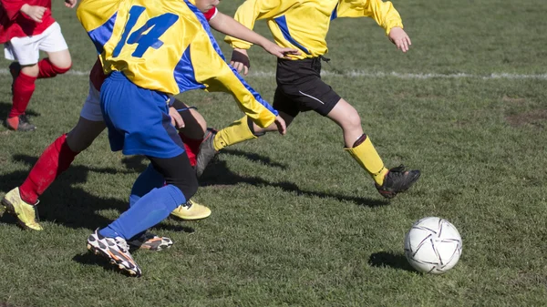 Fútbol partido de fútbol para niños —  Fotos de Stock